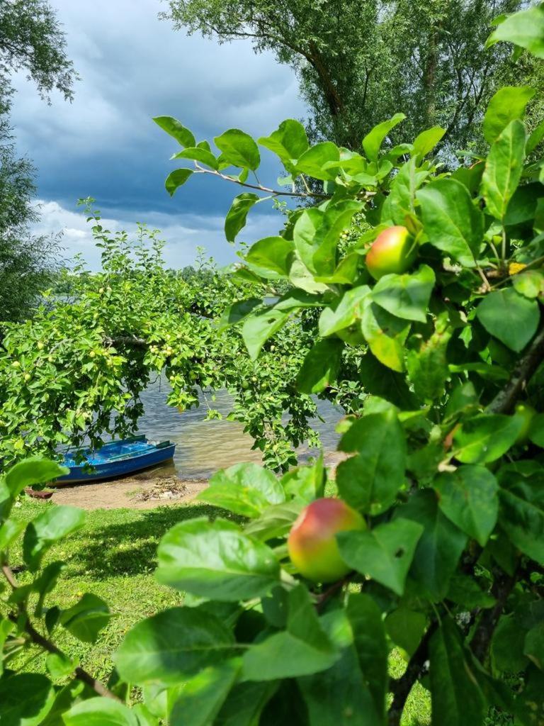 הוילה Gardenia Rajgród מראה חיצוני תמונה